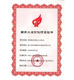 国家火炬妄想项目